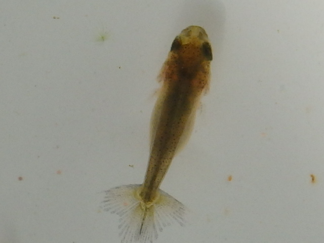 f0334143_8503194.jpg
