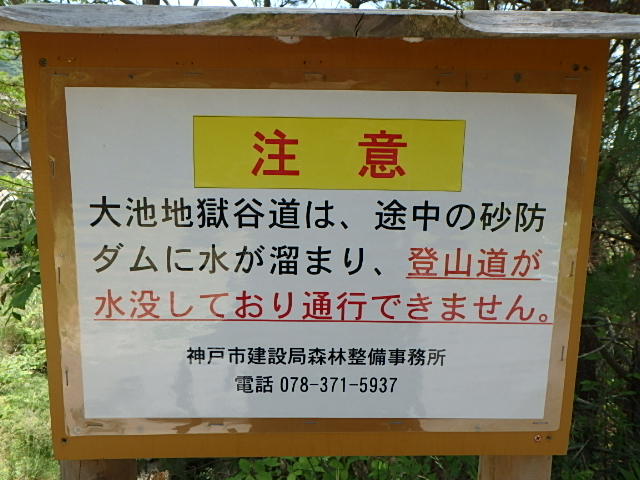 f0334143_8562435.jpg