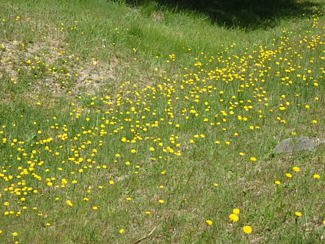 f0334143_85732100.jpg
