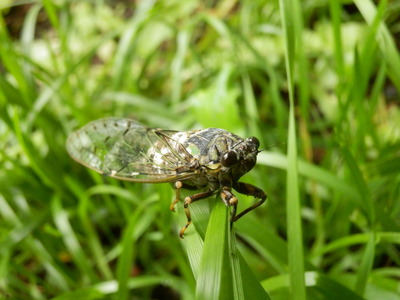 b0126549_17135675.jpg