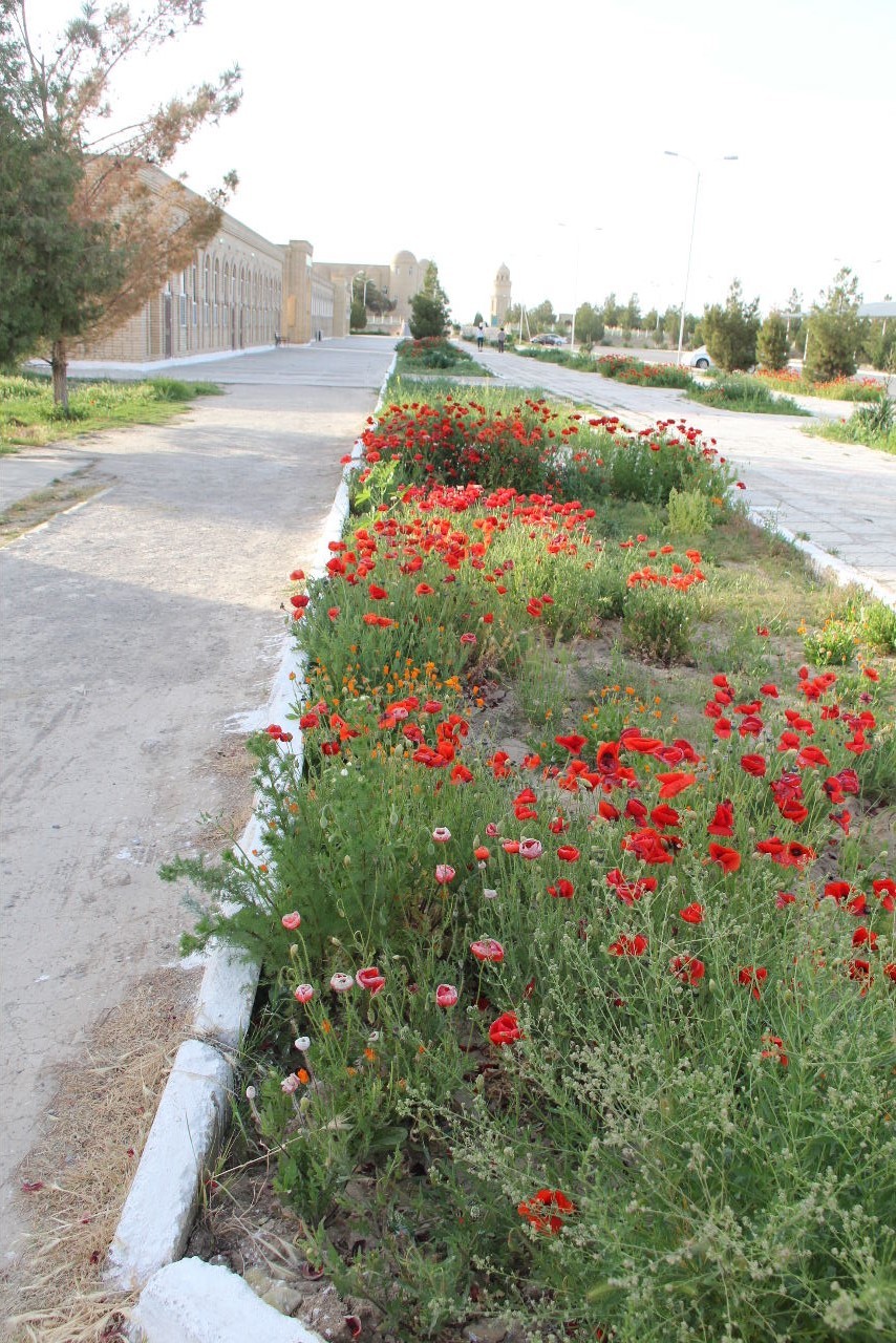 c0011649_08435601.jpg
