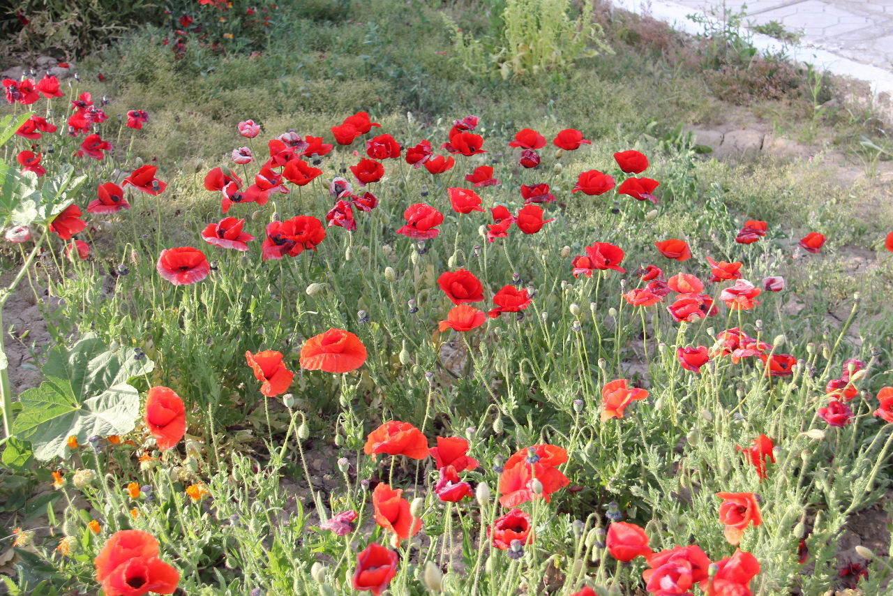 c0011649_08453169.jpg
