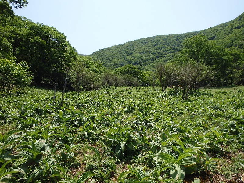 c0097754_10132990.jpg