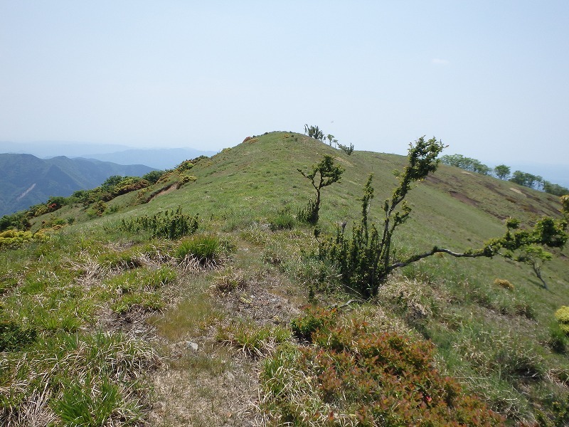 c0097754_10144227.jpg