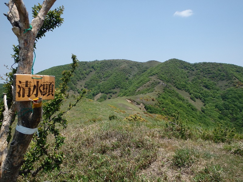 c0097754_10151787.jpg