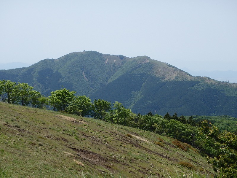 c0097754_10162556.jpg