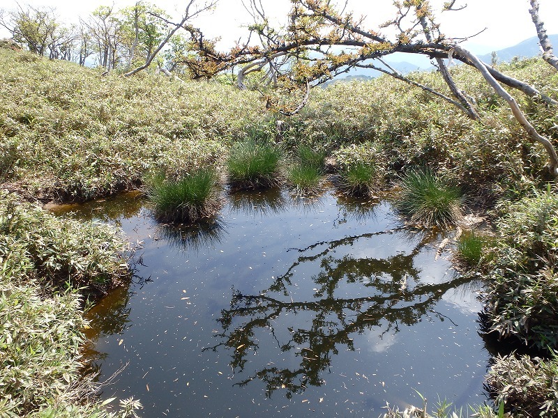 c0097754_10370319.jpg