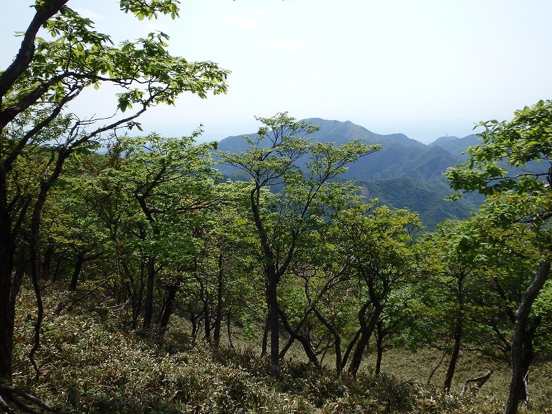 c0097754_10374229.jpg