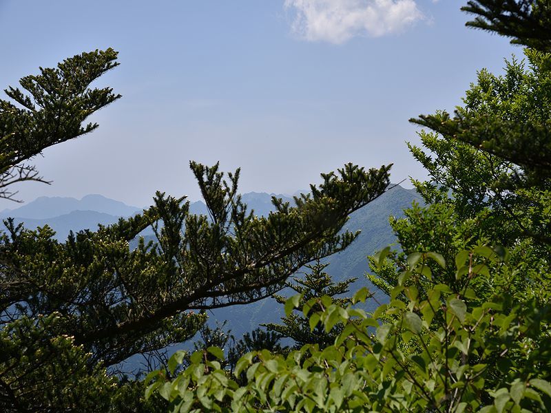 b0370155_18355956.jpg