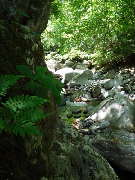 c0249658_14440746.jpg