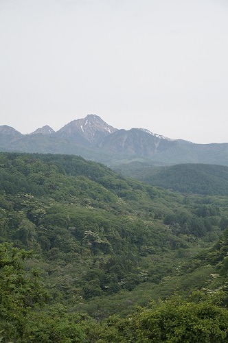 d0083761_21370428.jpg