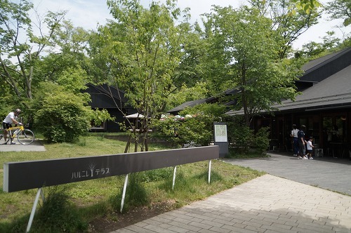 d0083761_21485432.jpg