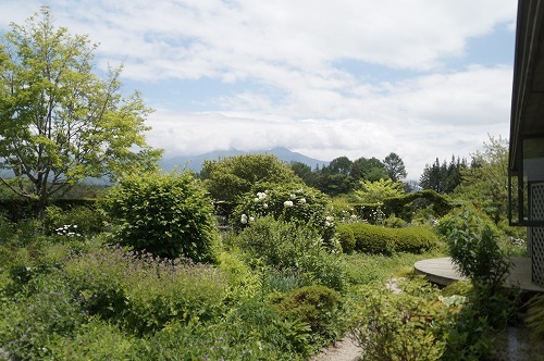 d0083761_22135269.jpg