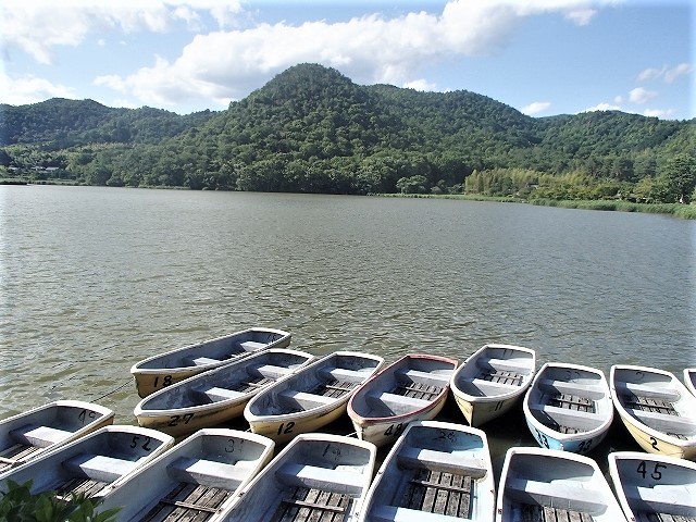 b0044663_10221938.jpg