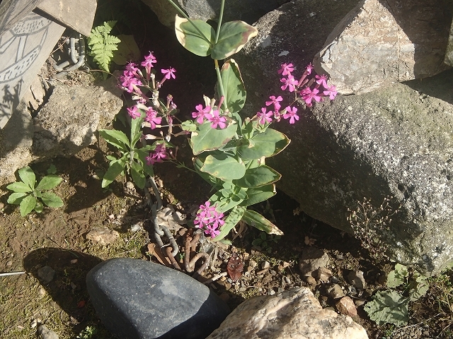 b0044663_10315610.jpg