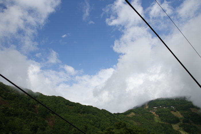 b0232463_21262325.jpg