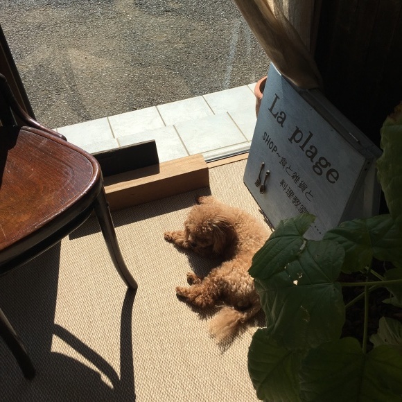 c0120363_16295758.jpeg