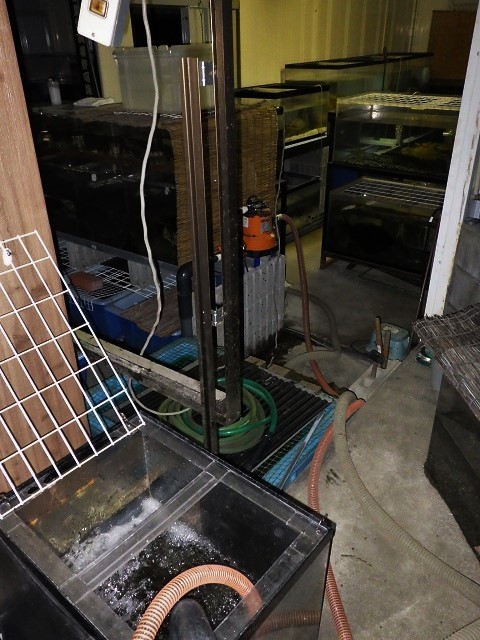 c0105569_01200311.jpg