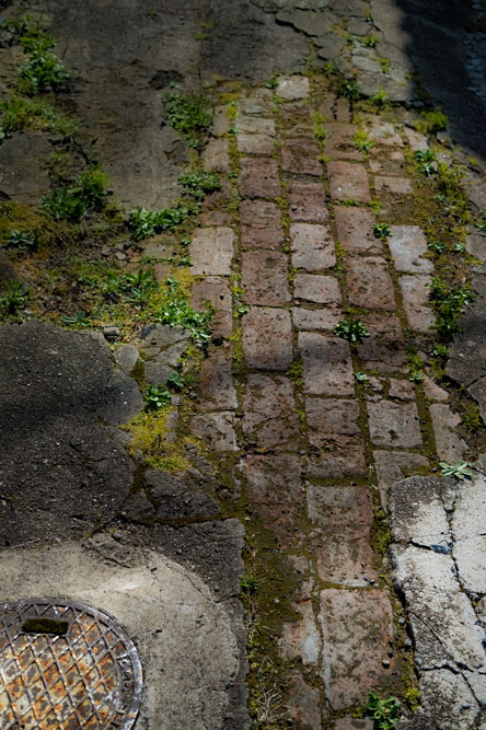 c0108673_032875.jpg