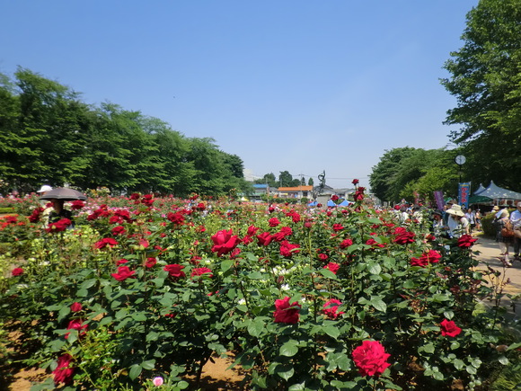 d0225173_9315551.jpg
