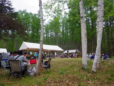 b0052375_20213223.jpg
