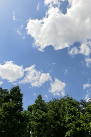 b0193480_1615193.jpg