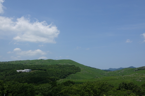 d0344780_20253887.jpg
