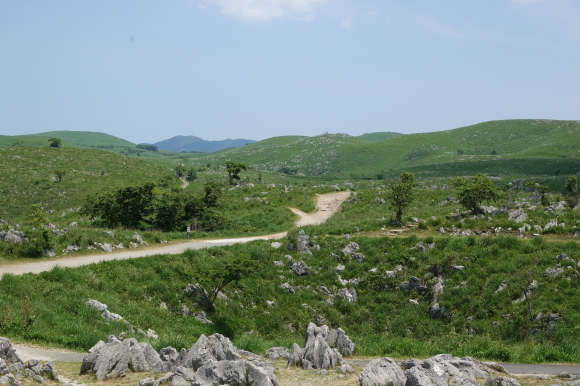 d0344780_20255282.jpg