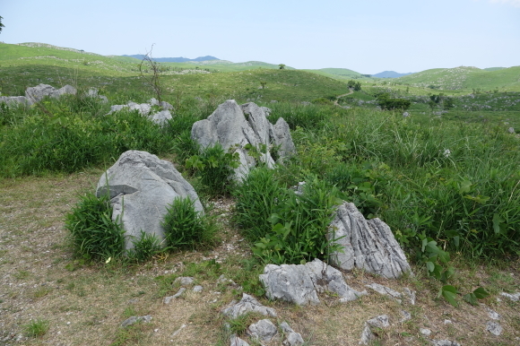 d0344780_20261005.jpg
