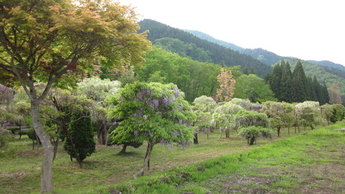 c0168584_11145981.jpg