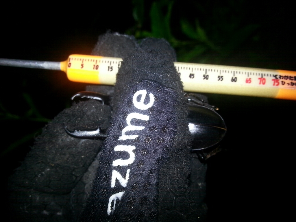 f0183484_08250954.jpg