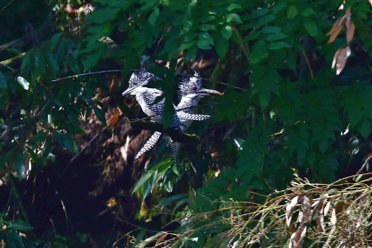 c0144588_10461759.jpg