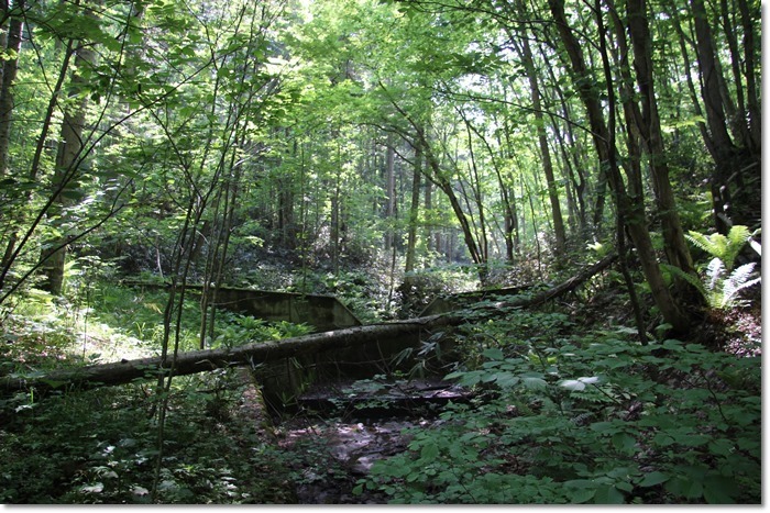 f0146493_23011063.jpg