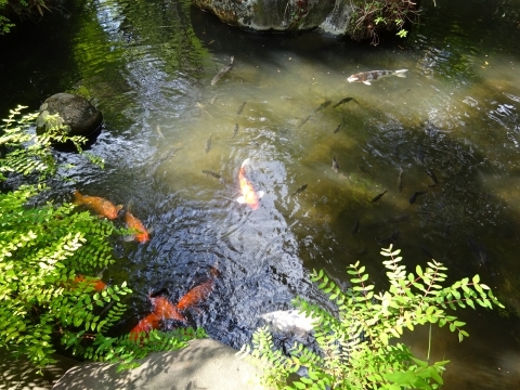 c0322794_00114673.jpg