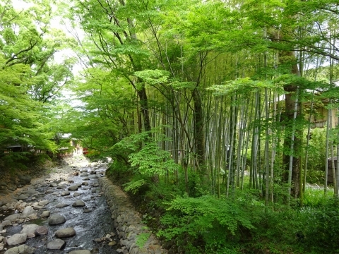 c0322794_00132779.jpg