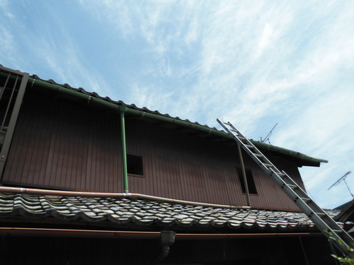 c0108198_1748102.jpg
