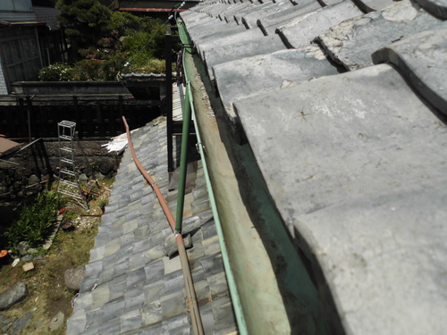 c0108198_17554915.jpg
