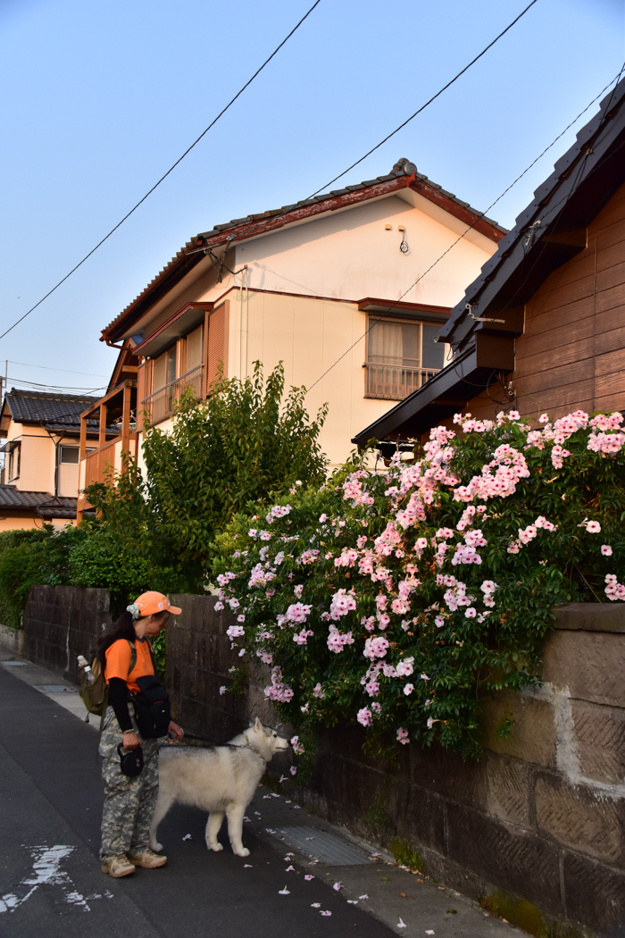 c0049299_22312477.jpg