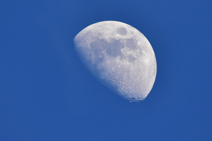 c0049299_23025649.jpg
