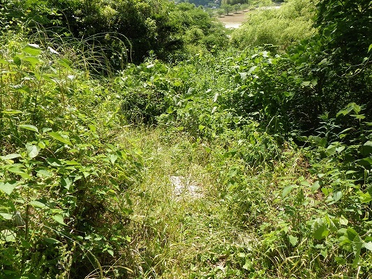 f0187402_21464369.jpg