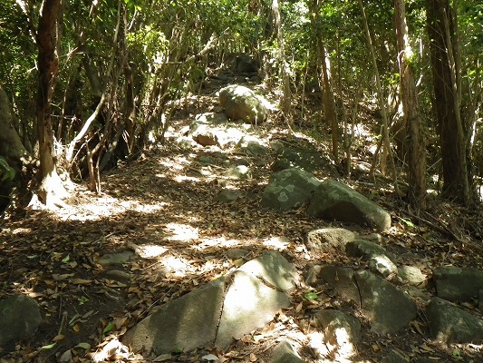 f0187402_21474298.jpg