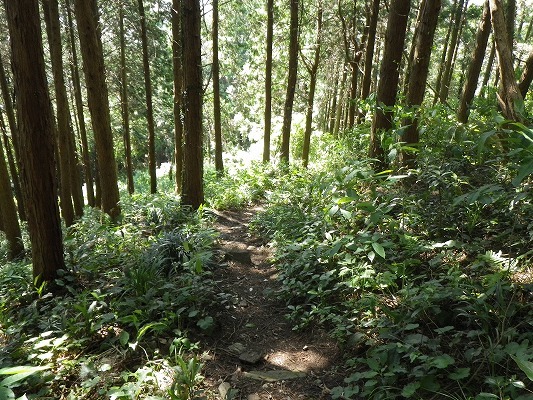 f0187402_21501624.jpg