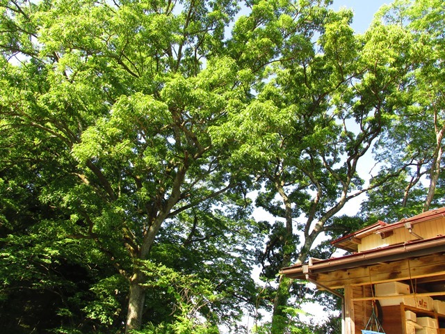 d0147804_20345169.jpg