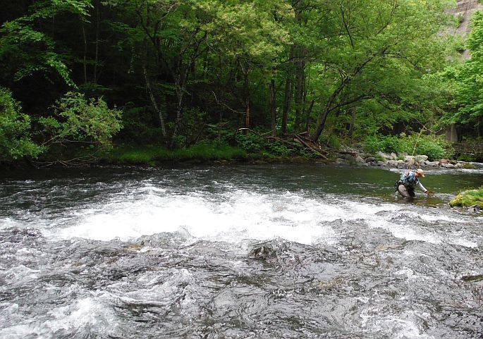 b0172805_20432264.jpg