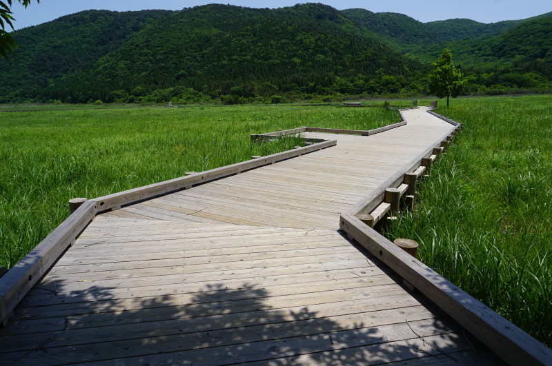d0363206_10134778.jpg