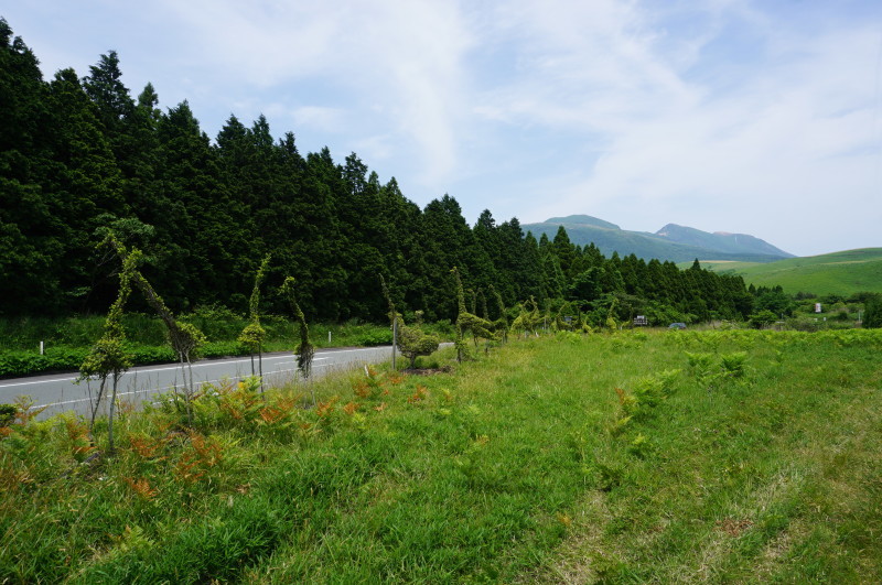 d0363206_10362715.jpg