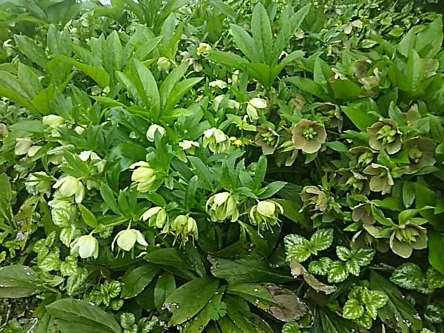 f0316507_16473309.jpg