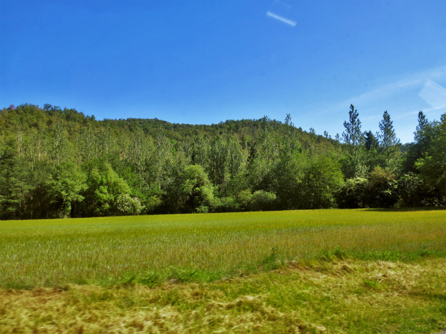 b0064411_06175878.jpg