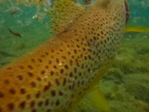 a0236914_10142049.jpg