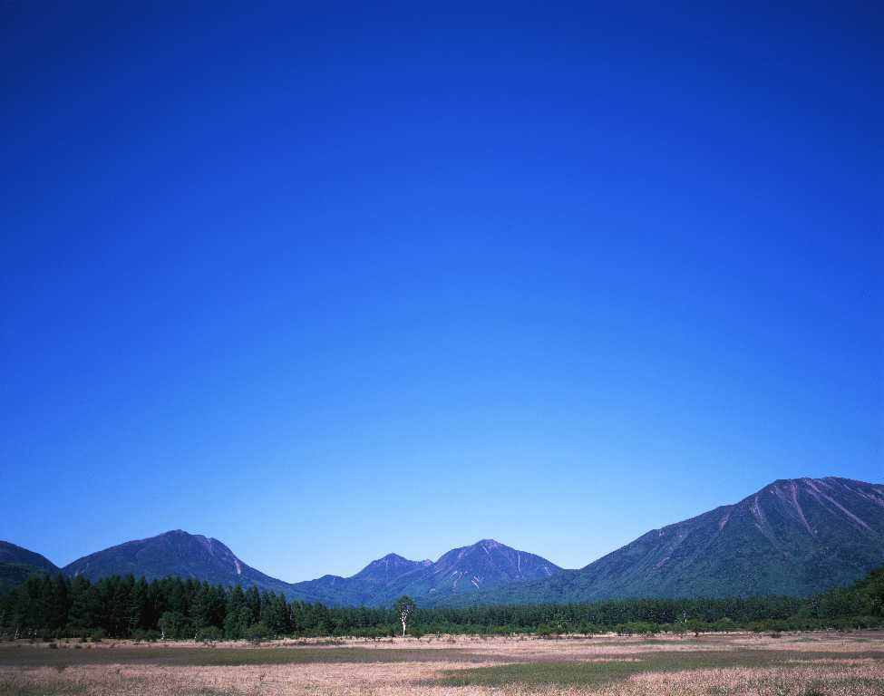 d0333714_05550239.jpg